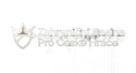 Zahraniční Casina Pro České Hráče